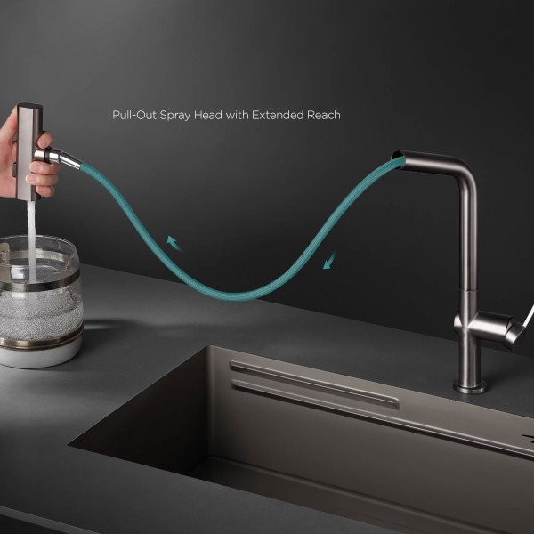 Pull-Out Spray Head with Extended Reach